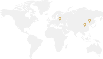 our global network map silver